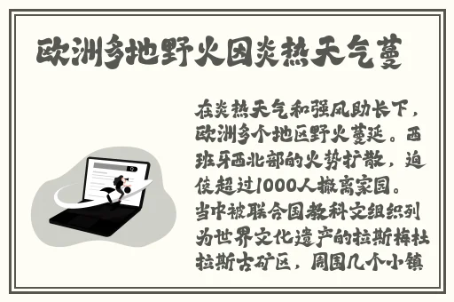 在线天堂最新版8